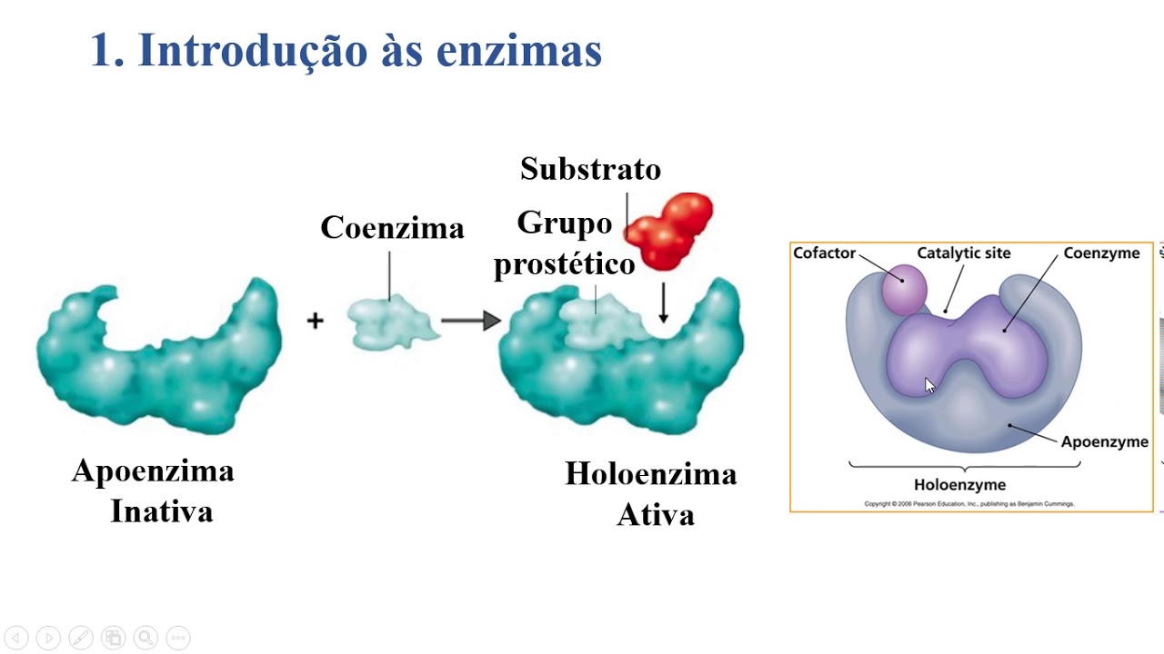 Aula10 ACH5542 - Enzimas - Parte 1