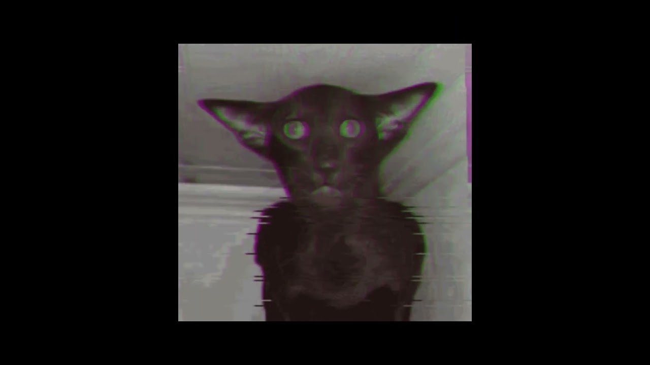 TRY NOT TO GET SCARED INSANE MODE😡😡😳😳😳🤑🤑 #shorts  #scary