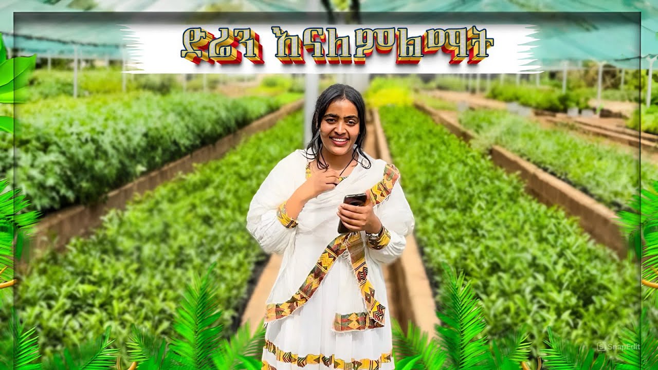ድሬ ላይ አረንጓዴ አሻራ አሳረፍኩ🥹