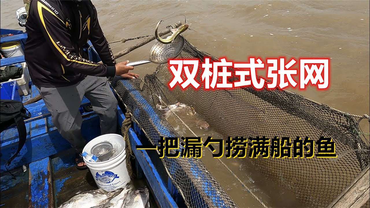 【阿牛赶海】张网属于传统定置渔具，利用退潮水流捕鱼，却有很多人没见过