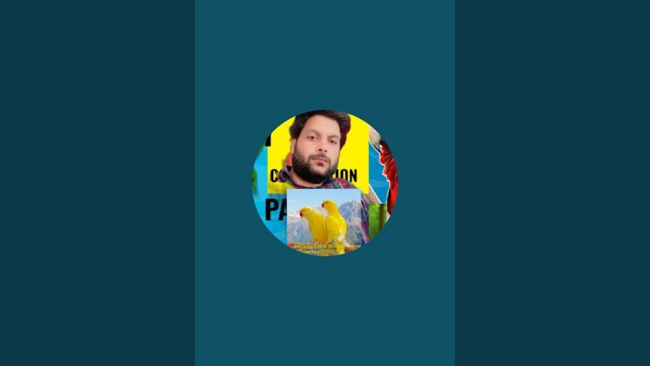 my parrot 9720 is live