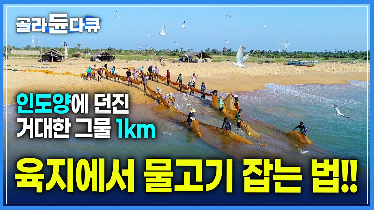 바다에 나가지 않고 물고기를 잡을 수 있는 방법! | 어부 수십 명이 그물을 끌어올리는 스리랑카 전통 어업 방식  | 인도양 1km가 넘는 거대한 그물  | #골라듄다큐