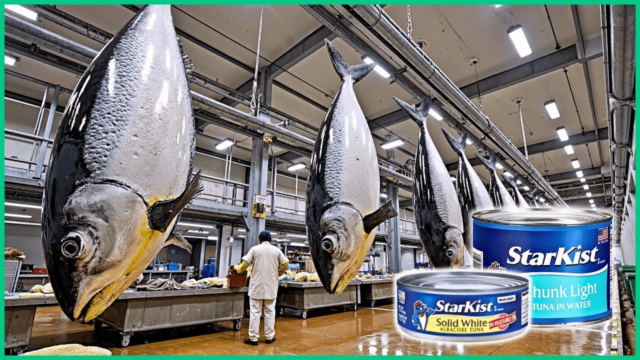 How It’s Made: Pickles, Canned Tuna, and Sausages Explained