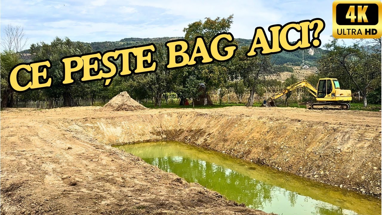 Mi-am făcut BALTĂ de PEȘTE acasă |4K|.