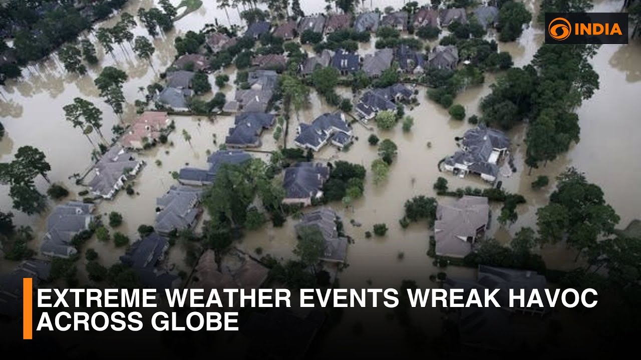 Extreme weather events wreak havoc across globe | DD India