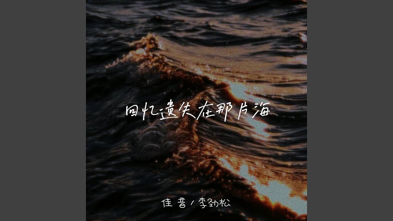 回忆遗失在那片海 (卡点dj版)