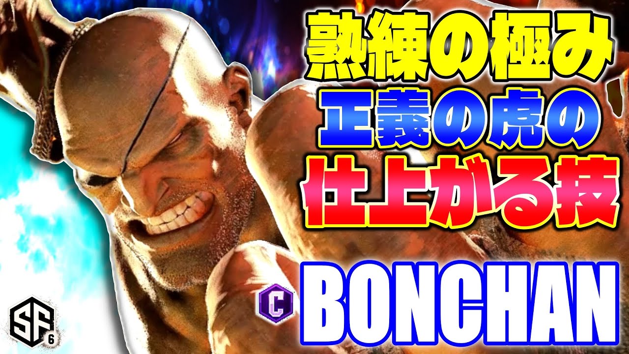 【スト6】熟練の極み 正義の虎の仕上がる技 ボンちゃん (サガット) 【SF6】