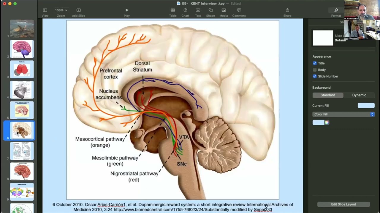 Kent Berridge: Motivation, Drive, Reward, Addiction, Pleasure, Dopamine, Serotonin, Opiates - Part 1