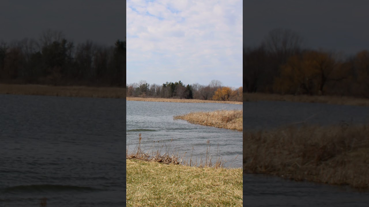 Ninety-fifth photo I took in 2021. 