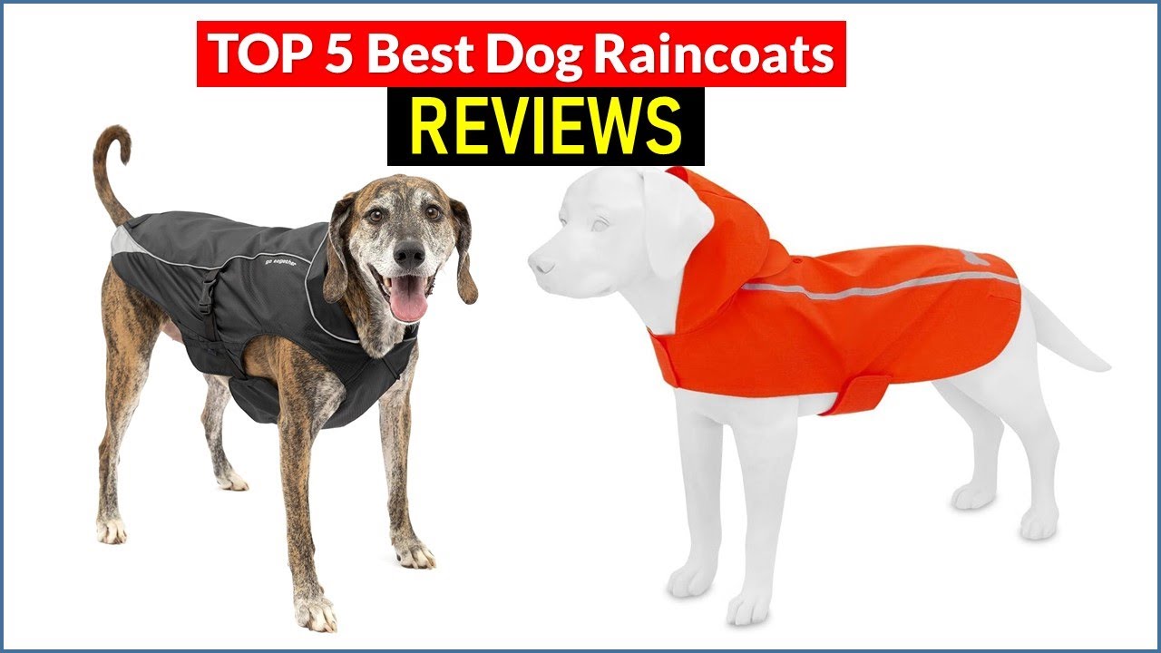 ✅ BEST 5 Dog Raincoats Reviews | Top 5 Best Dog Raincoats - Buying Guide