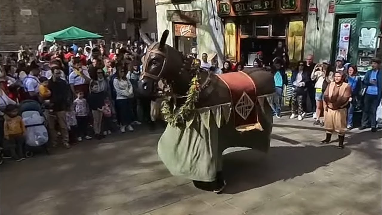 Ball de la Mulassa de Barcelona en 360º | Festes de Sant Josep Oriol de Barcelona 2023