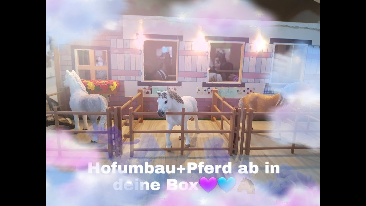 Hofumbau+Pferd ab in deine Box extra lang💜💙🐴❤