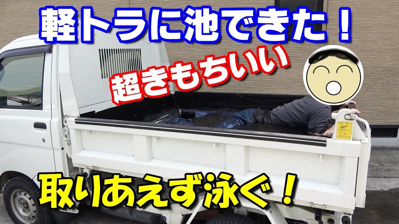 【メダカのビオトープ】泳いでみた？超ちもちいい～【軽トラメダカのビオトープ】