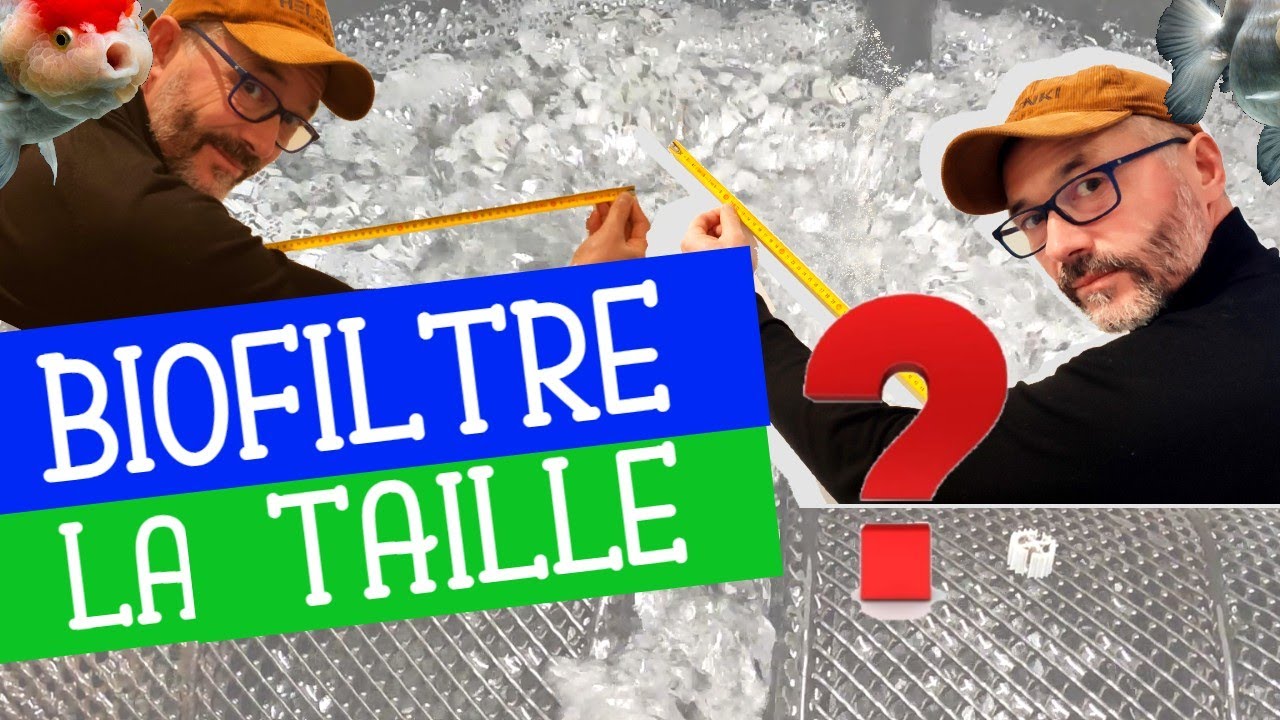 👍FILTRE BIOLOGIQUE : beaucoup en parle, mais peu connaissent CETTE INFORMATION CAPITALE👍