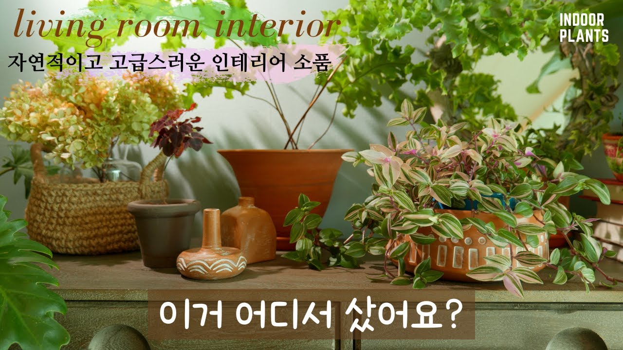 [4K]Украсьте свою гостиную и консоль предметами декора