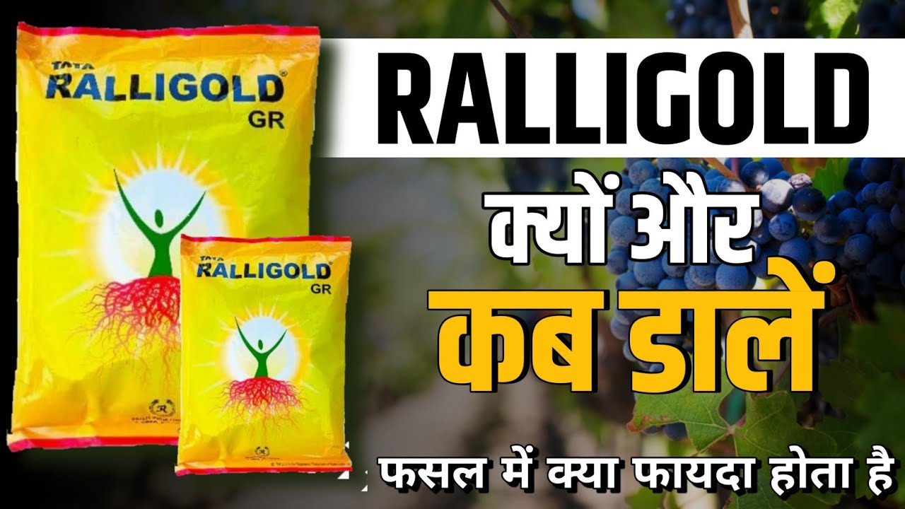 Tata Ralligold | Ralligold Tata | Ralligold Fertilizer |  mycorhizal biofertilizer