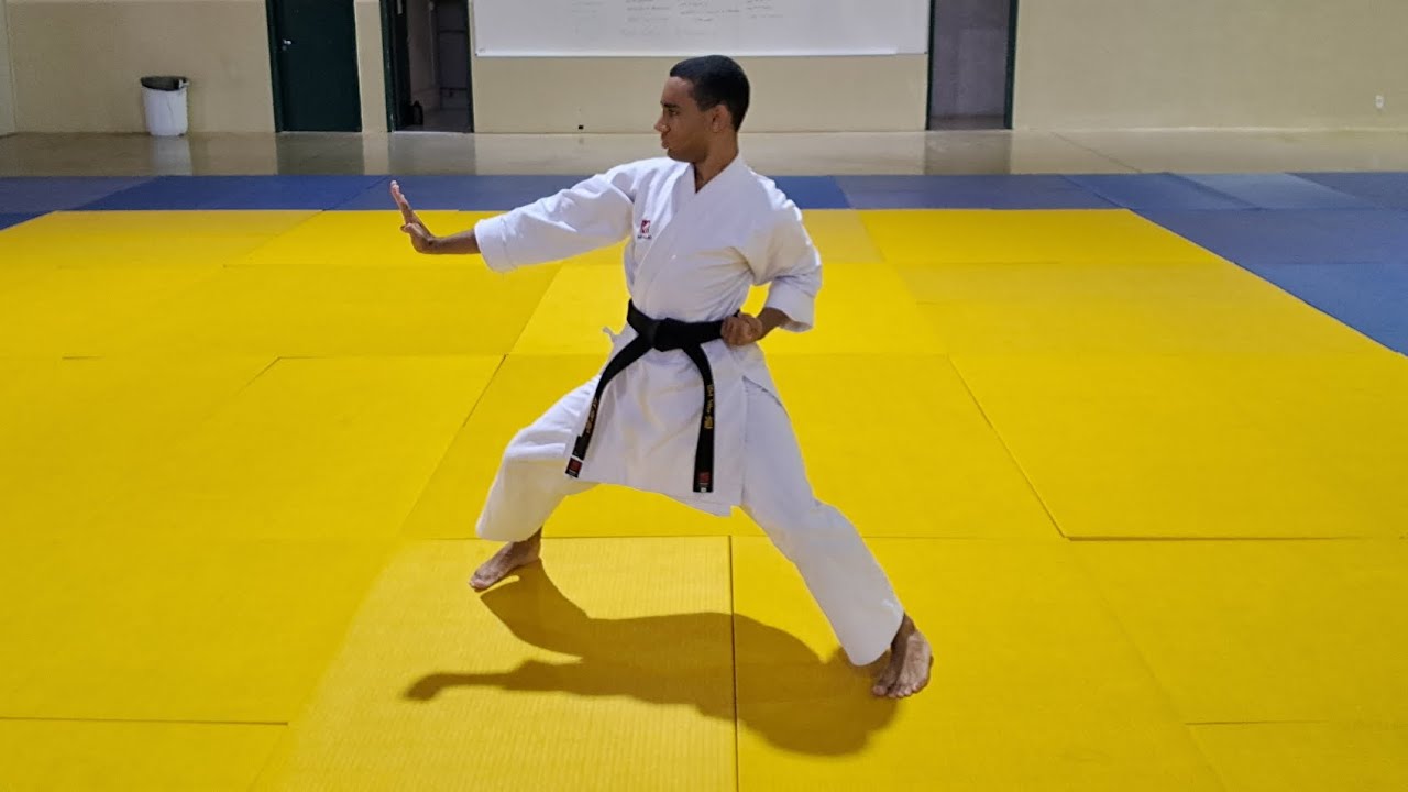 Tate Shuto Uke (縦手刀受け) - Defesa vertical com a mão em espada