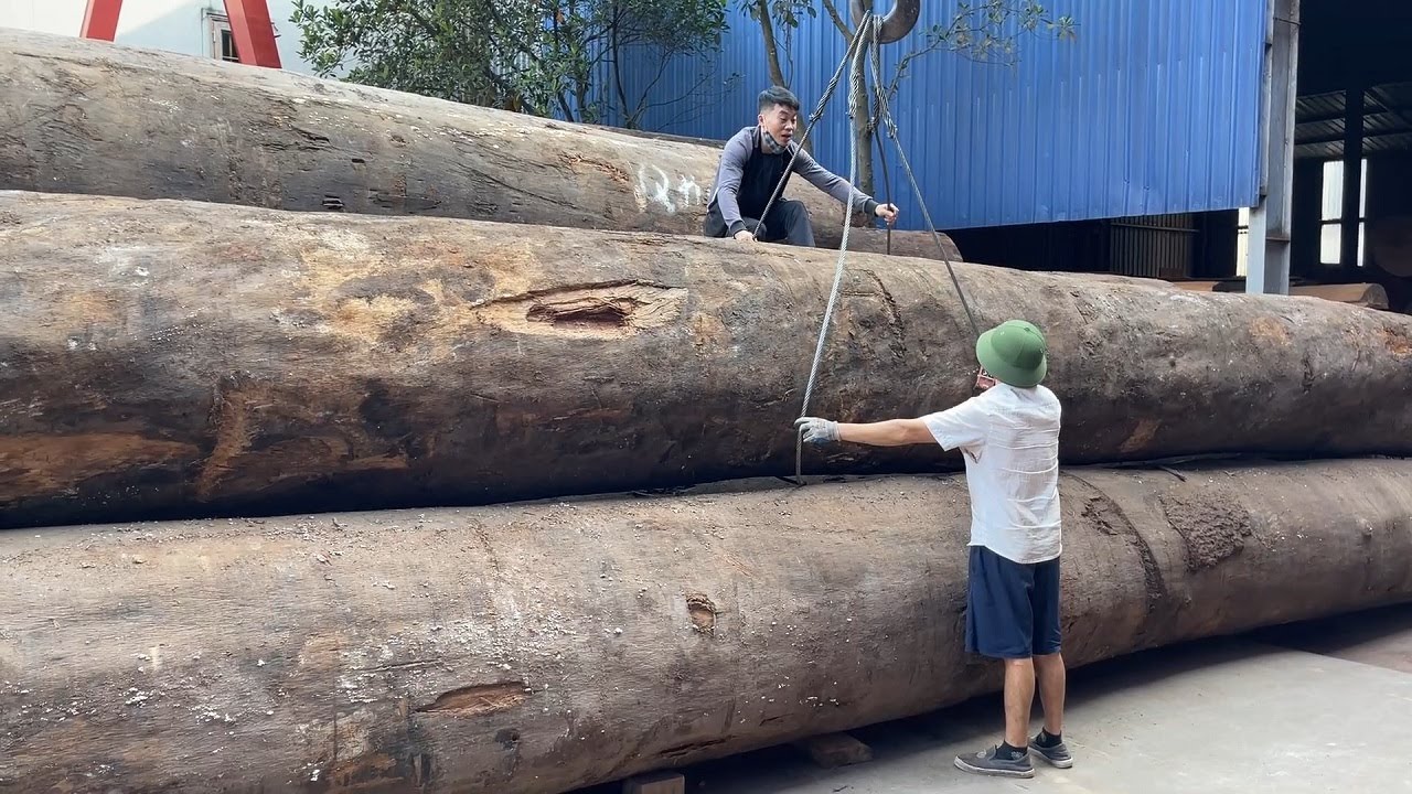 Amazing Sawmill Machines Working - Factory Great Woodworking Cut Most Expensive Wood In The World