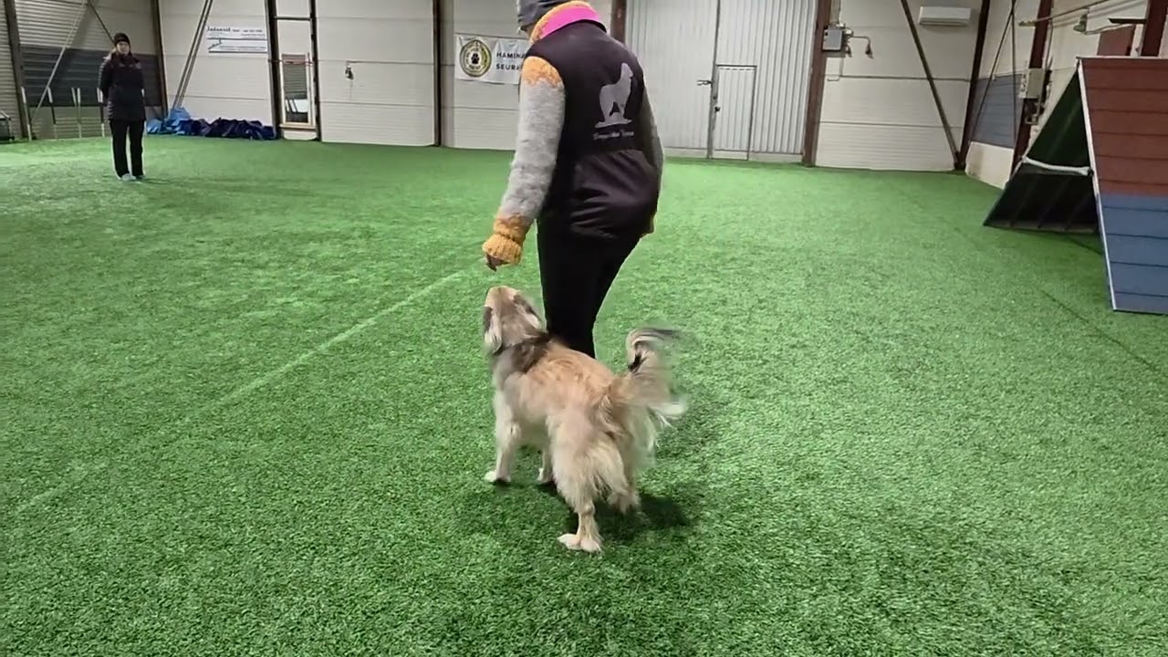 Kokeenomainen treeni osa 2