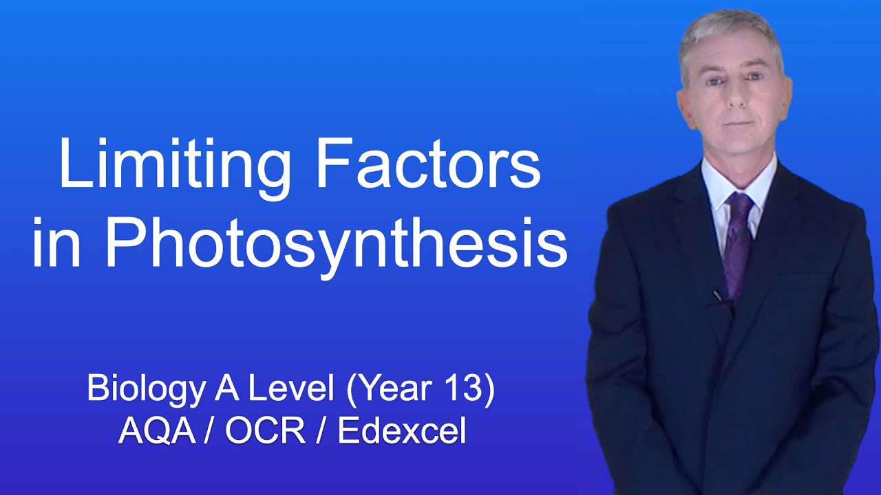 A Level Biology Revision (Year 13) 