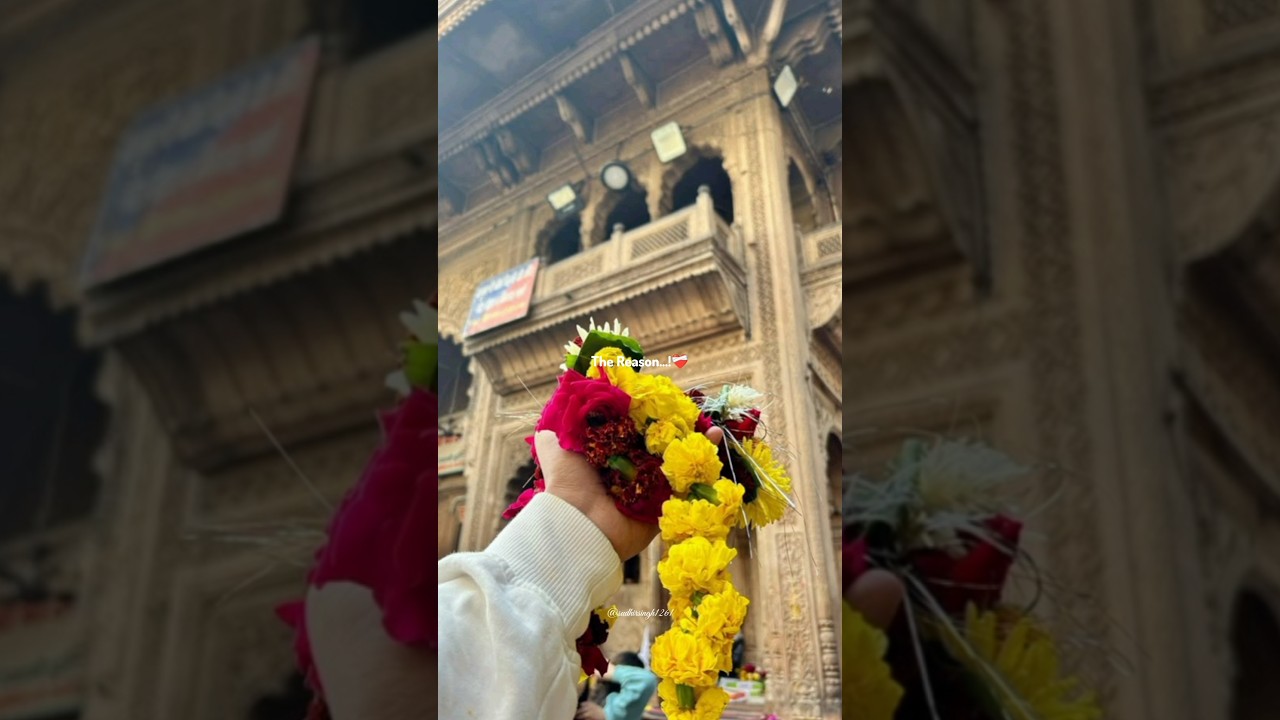 ~you seem so happy lately !! | Vrindavan status | #youtubeshorts #krishna #radheradhe #shorts