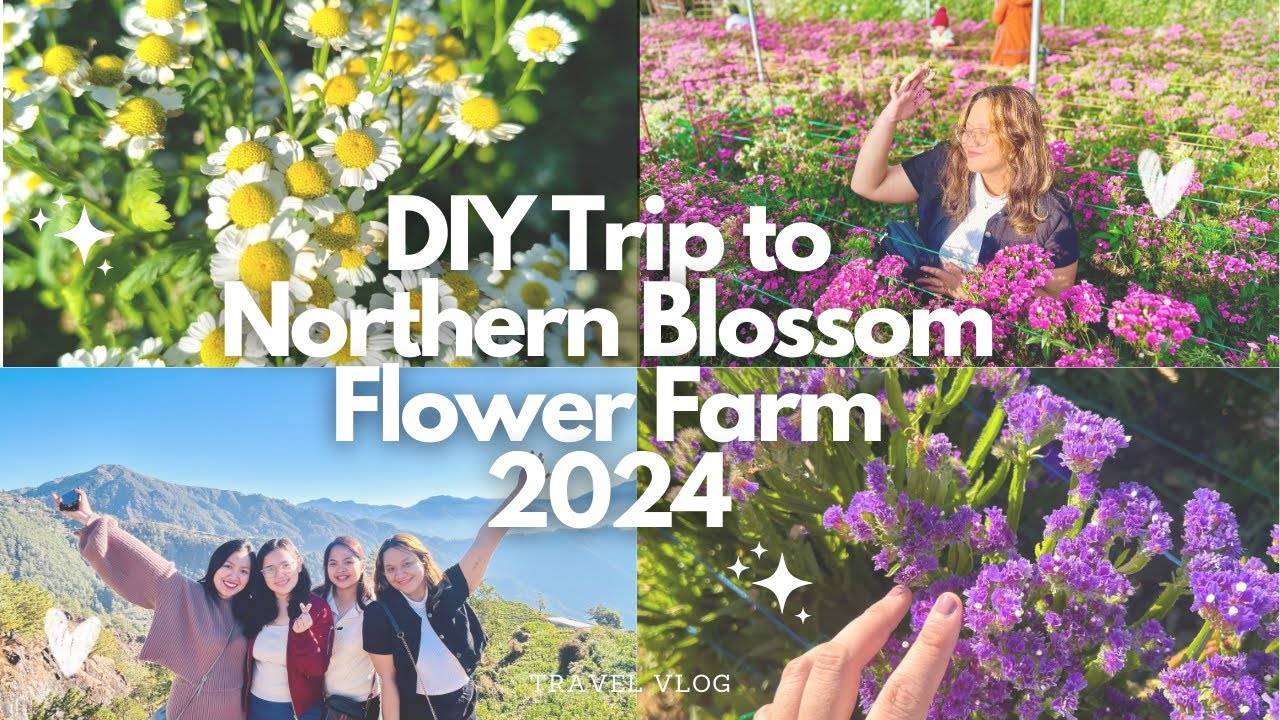 DIY Trip to Northern Blossom Flower Farm 2024 🌻🌸🌺🌼