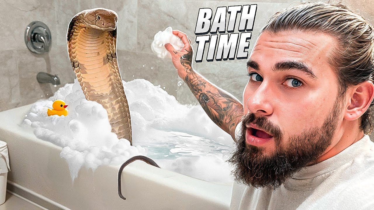 KING COBRA Gets a BATH!