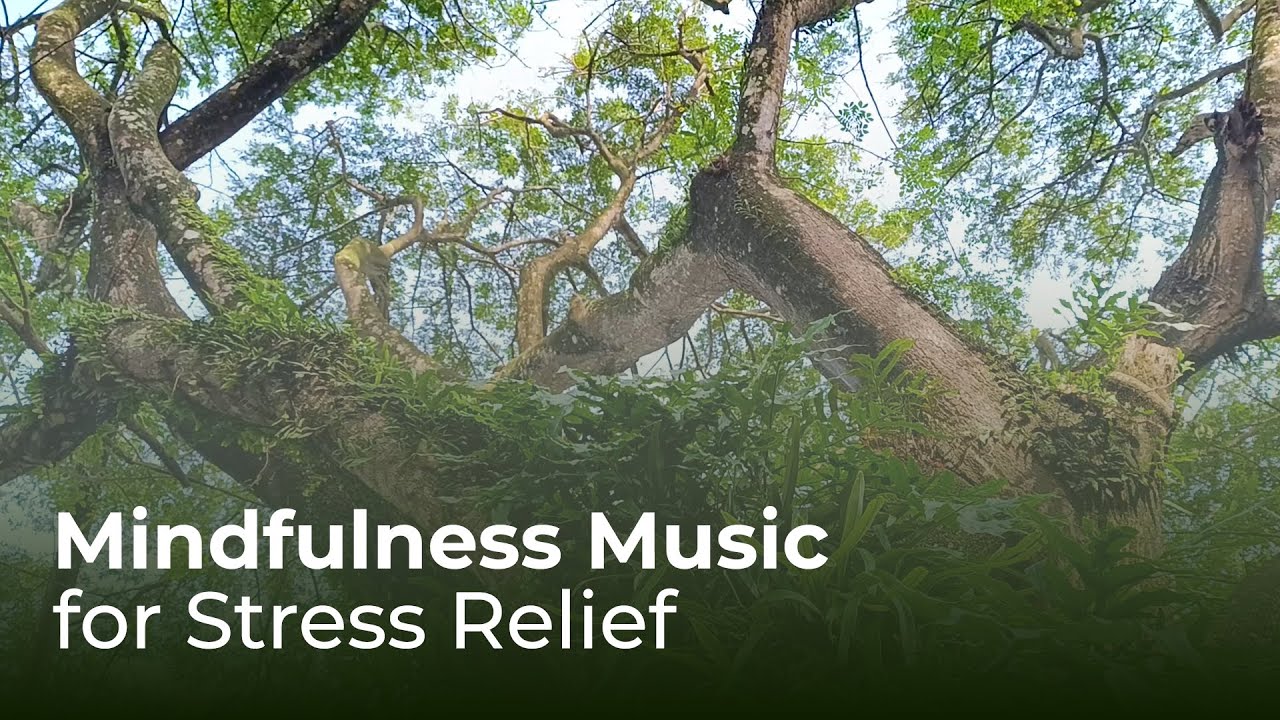 Mindfulness Music for Stress Relief
