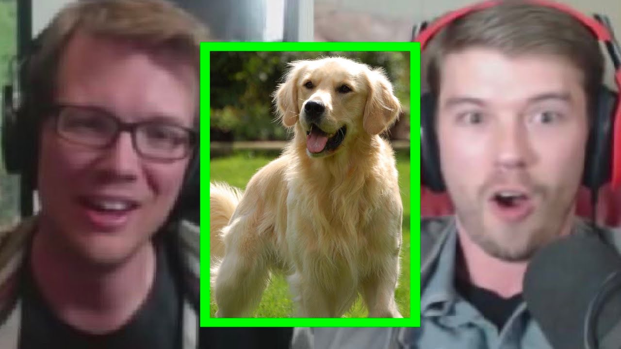 Would You Clone Your Dog? w/ Hank Green | PKA