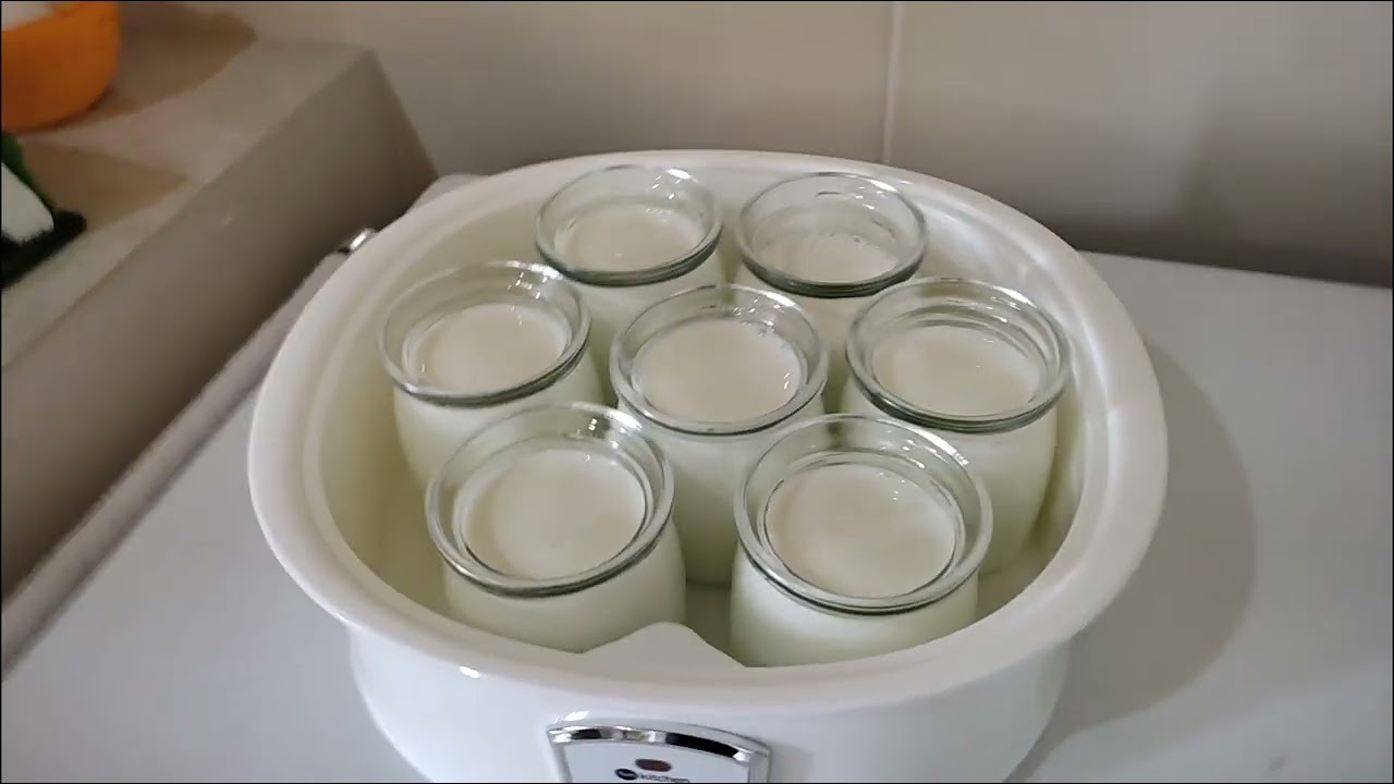 Como fazer iogurte na Iogurteira FunKitchen