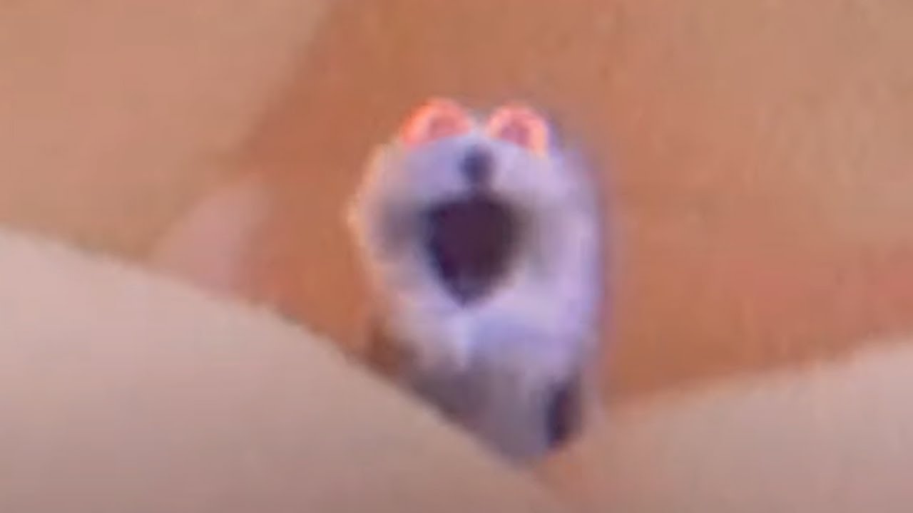 Puppet in marshmallows snoring ААААААААААА  snoring blue thing