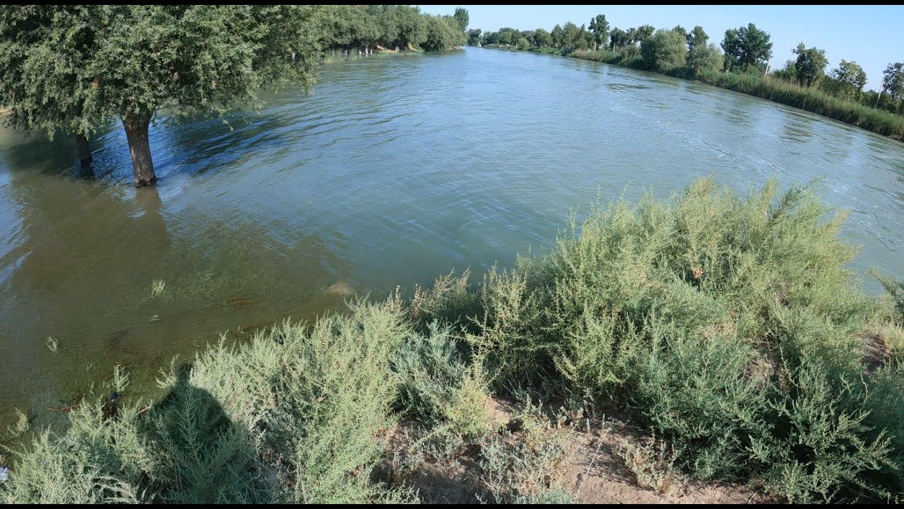 Baliq ovi. Мutniy kanal 07.07.2025