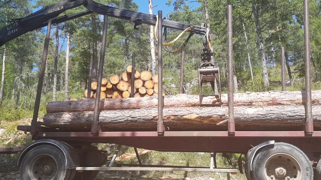 Chargement camion remorque grumier