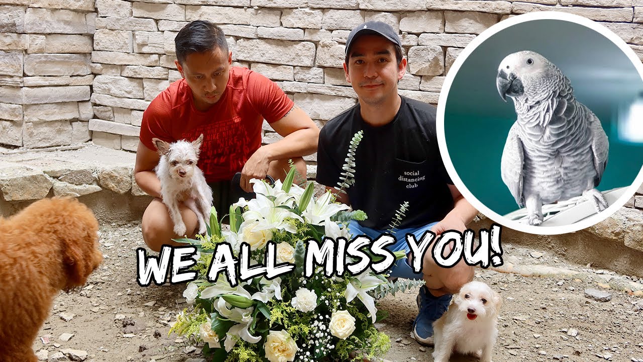A Sad Day At The Farm - Oct. 22, 2021 | Vlog #1367