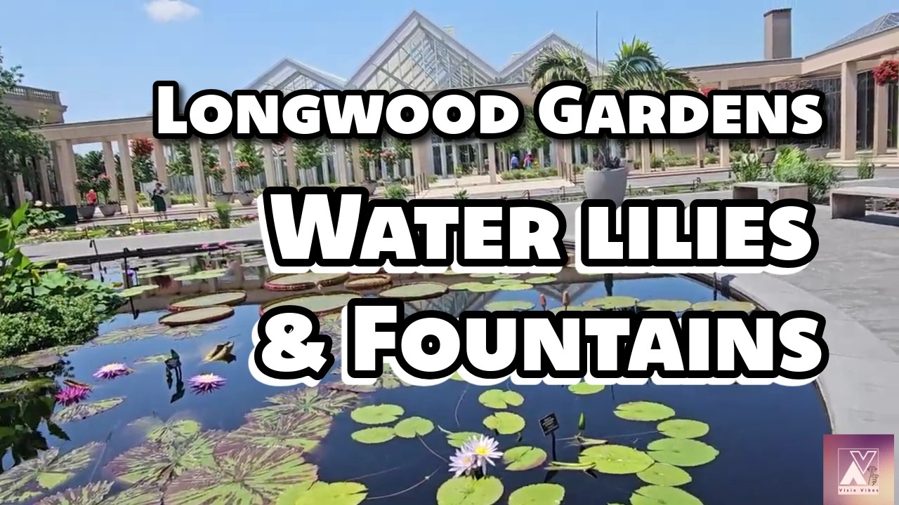 Longing for Warmth, Water lilies & Fountains | Longwood Gardens #botanicalgarden #waterlily