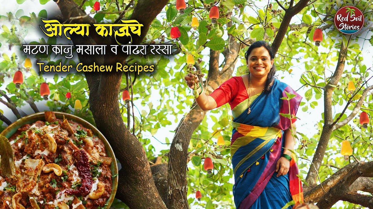 Tender Cashew Mutton Masala | ओले काजू मटण मसाला | पांढरा रस्सा | Village Cooking | Red Soil Stories