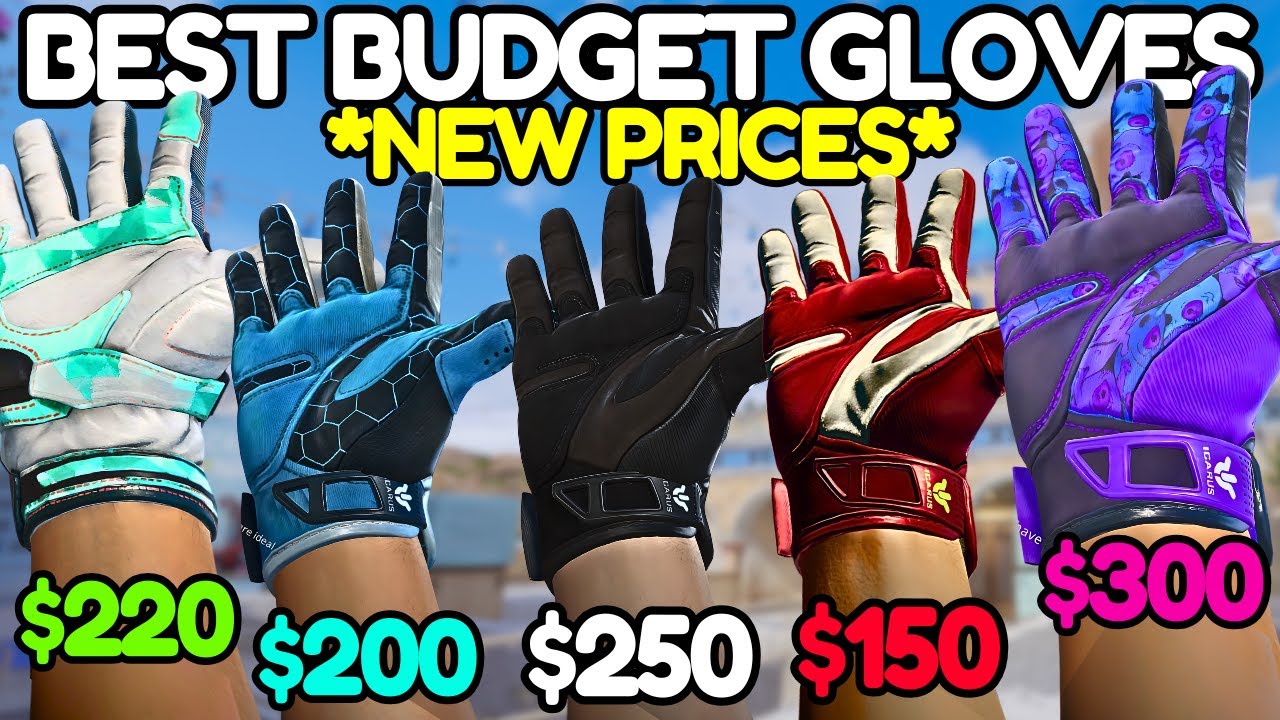 BEST BUDGET Gloves in CS2 RIGHT NOW (Under $300)