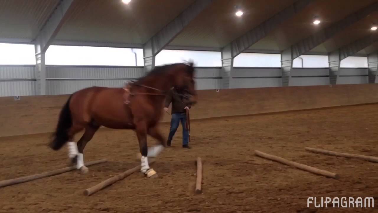 Anders Eriksson tömkör Hitachie 21/4-16 Del 1