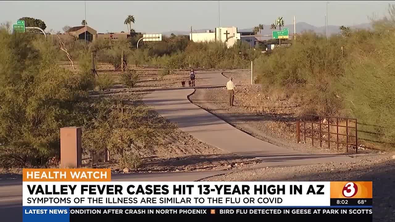 Valley Fever cases hit record 13-year high in Arizona