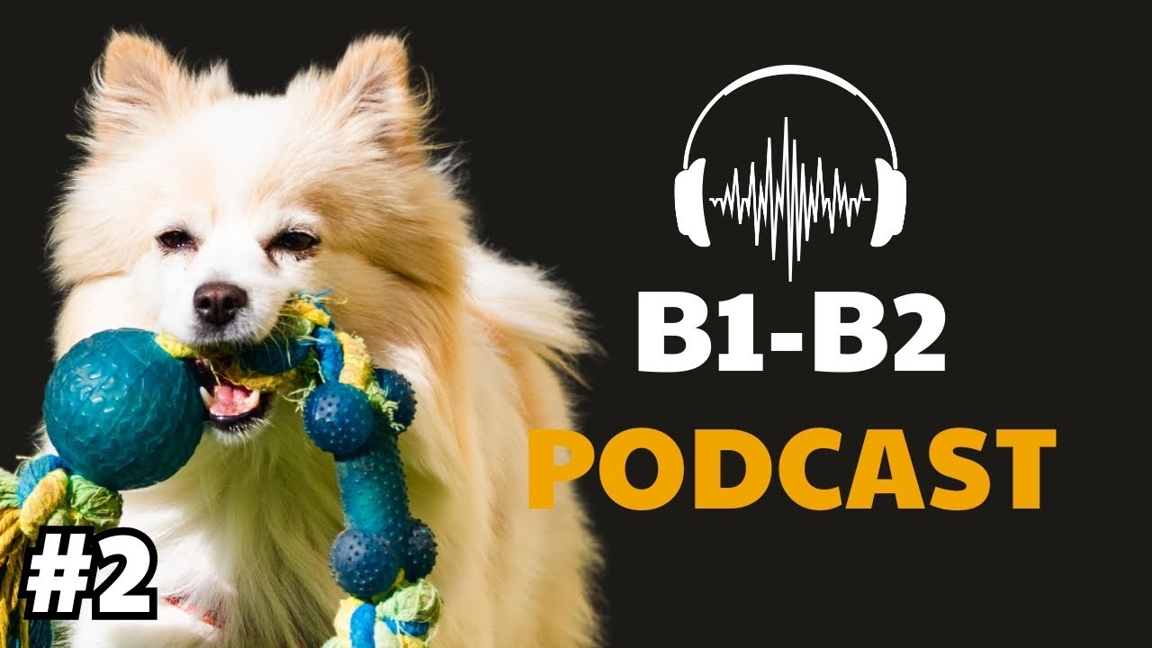 Подкаст Английское аудирование B1-B2 | PETS