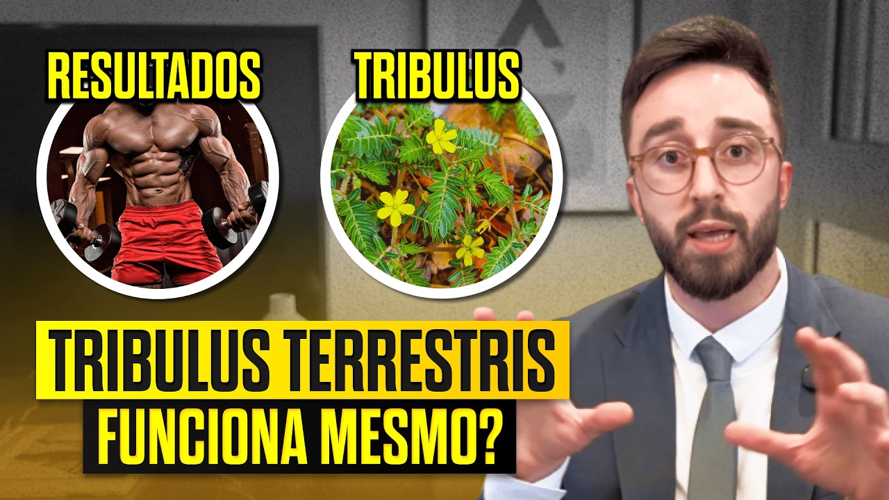Tribulus Terrestris: Para Que Serve e Quais os Benefícios