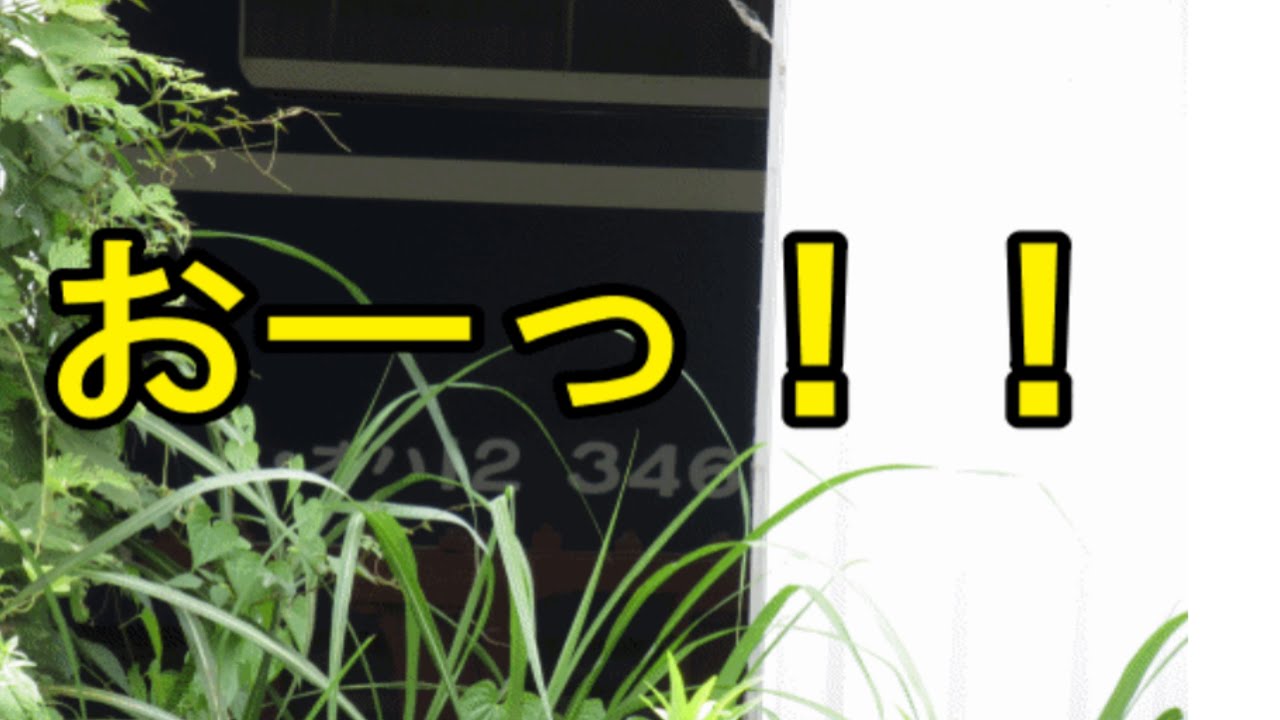 【大井川鐵道】ついに…整備開始だね！！