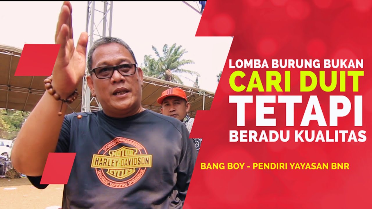 Bang Boy BnR Tentang ADU KUALITAS Lomba Burung Format Masa Depan