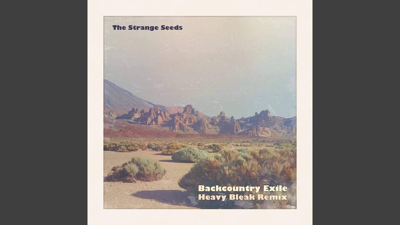 Backcountry Exile (Heavy Bleak Remix)