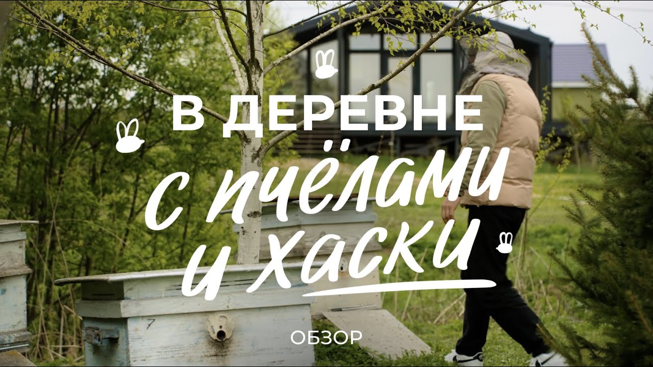 Жизнь в деревне: сколько стоит каркасный дом, как завести пчёл и содержать стаю хаски / Sewera