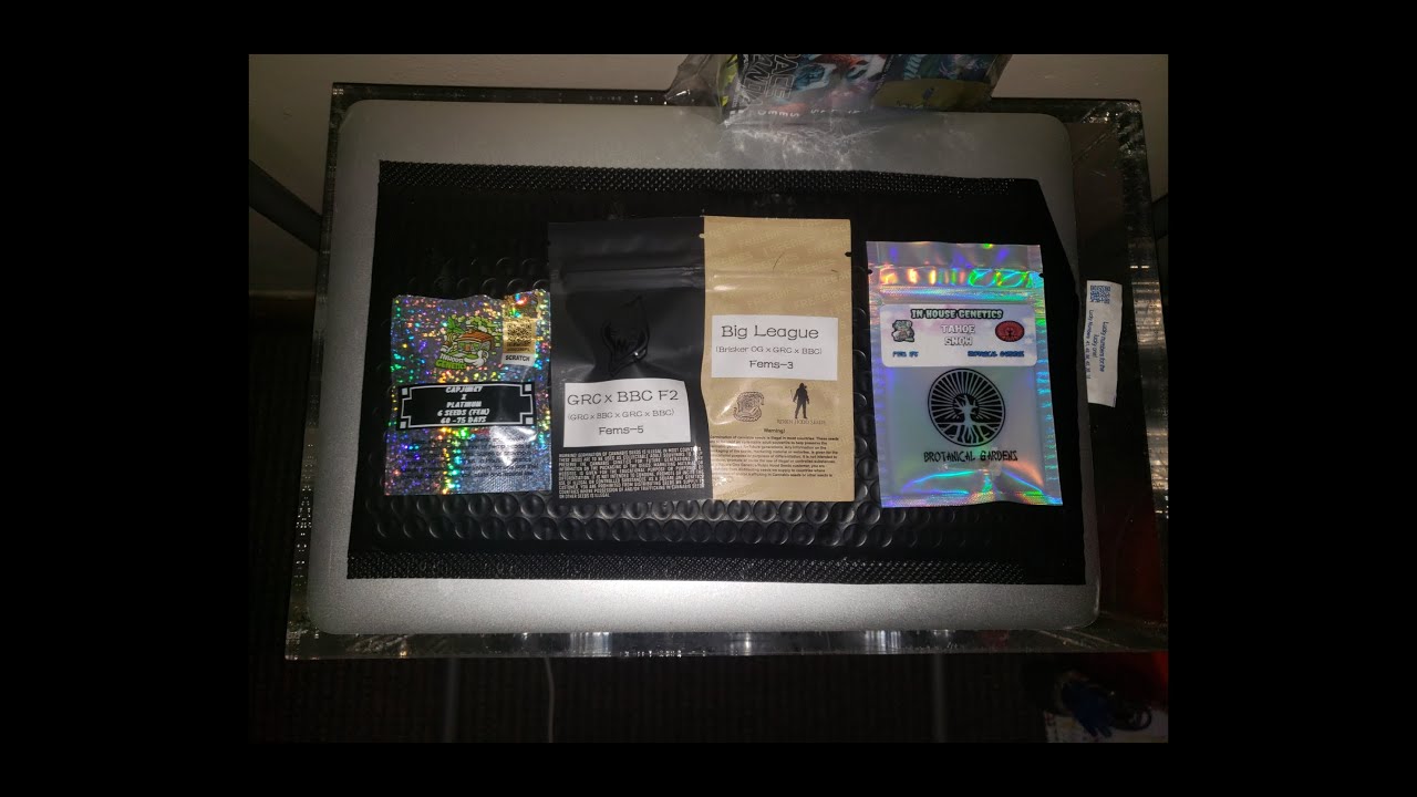 MAJOR UPDATES!! SQUARE 1 GENETICS & MORE REVEAL PLUS NEW GROW ROOM!