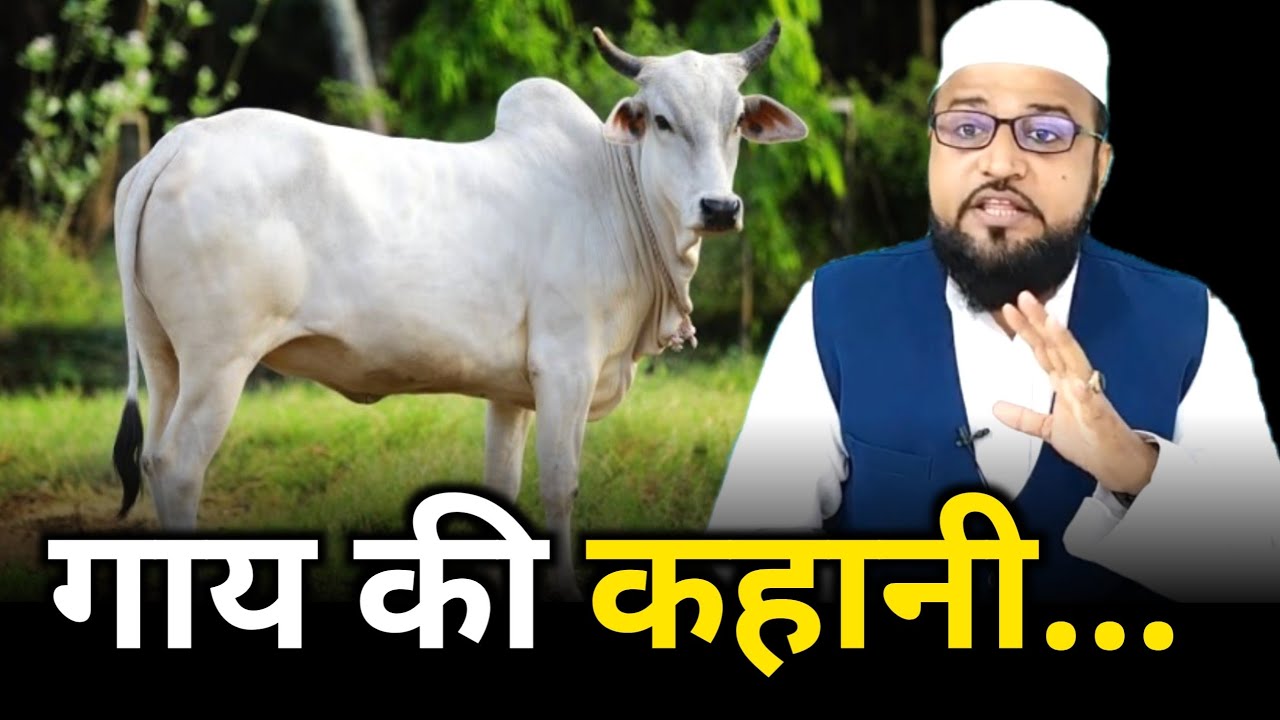 Gay Ki Kahani |Only Miftahi| maulana abdur rashid miftahi |miftahi channel|