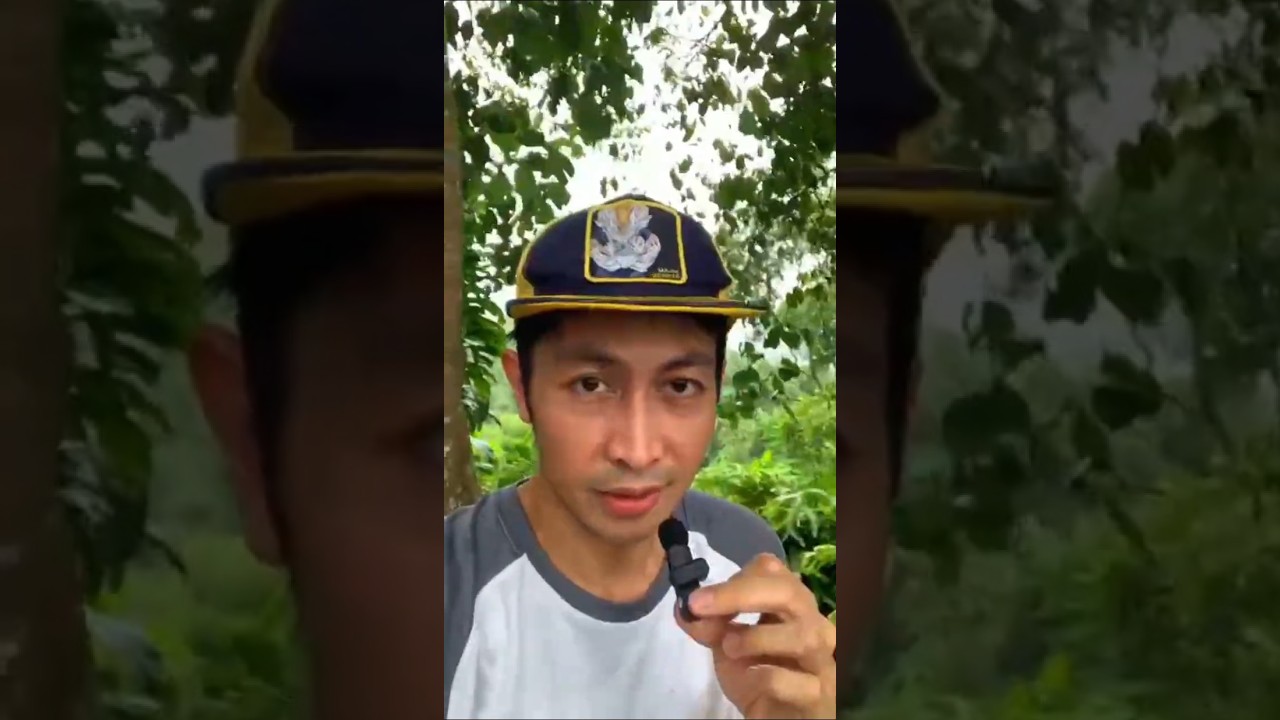 Hiking places in Brunei🇧🇳part 1 DADAP hills