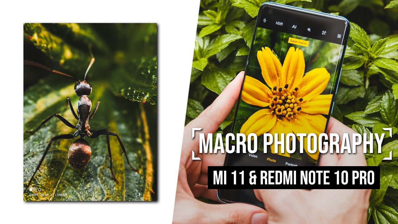 Профессиональная макросъемка с Xiaomi Mi 11 и Redmi Note 10 Pro!