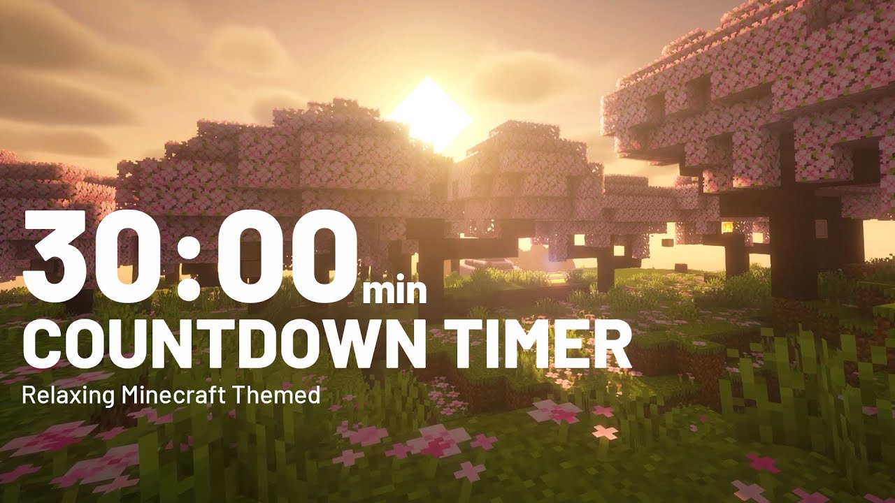 30 Minutes Countdown Timer 🕒 | Lo-Fi Music + Minecraft Scenery 🌿 | Gentle Alarm ⏰